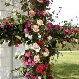 Meet your Posher, Connie